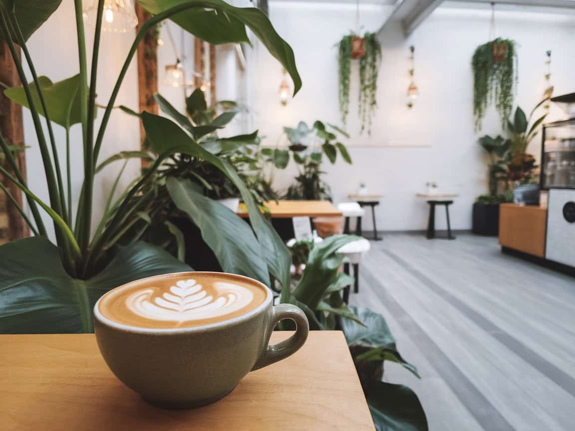 Sip & Savor: The 13 Best Coffee Spots in Indiana 5 5. Provider: Stylish Café with Botanical Vibes