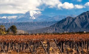 Volcano-Aconcagua-and-Vineyard.