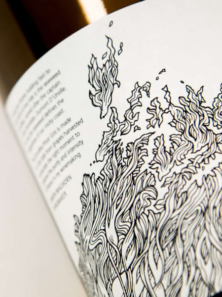 Wine label illustration and design by Wonderlab