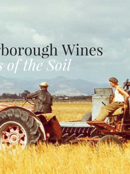 Vintage tractor image chosen by Wonderlab for a wine brand