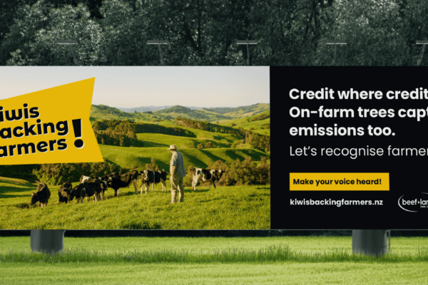 Beef & Lamb Billboard
