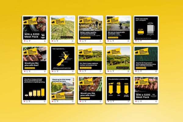 A grid of social media posts with yellow backgrounds. Posts feature images of meat, sheep, a map of New Zealand, and farmers. Some posts include text about meat packs, farming, emissions, and government policies. Icons for likes, comments, and shares are visible.