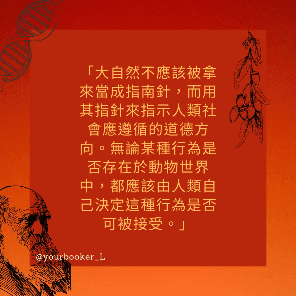 動物同性戀