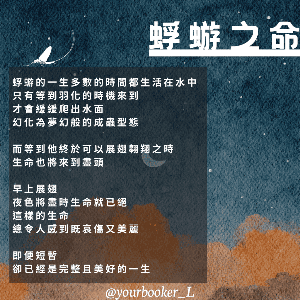 時光邊緣的男人