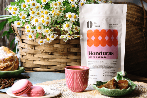 24Terre-honduras-geisha-café-grains-tasse-macarons Café grains Geisha Santa Barbara Honduras 200G