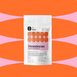 Café grains Geisha Santa Barbara Honduras 200G