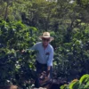 Café grains San José Honduras 200G