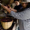 24 terre cafe de femmes claireviger marilec