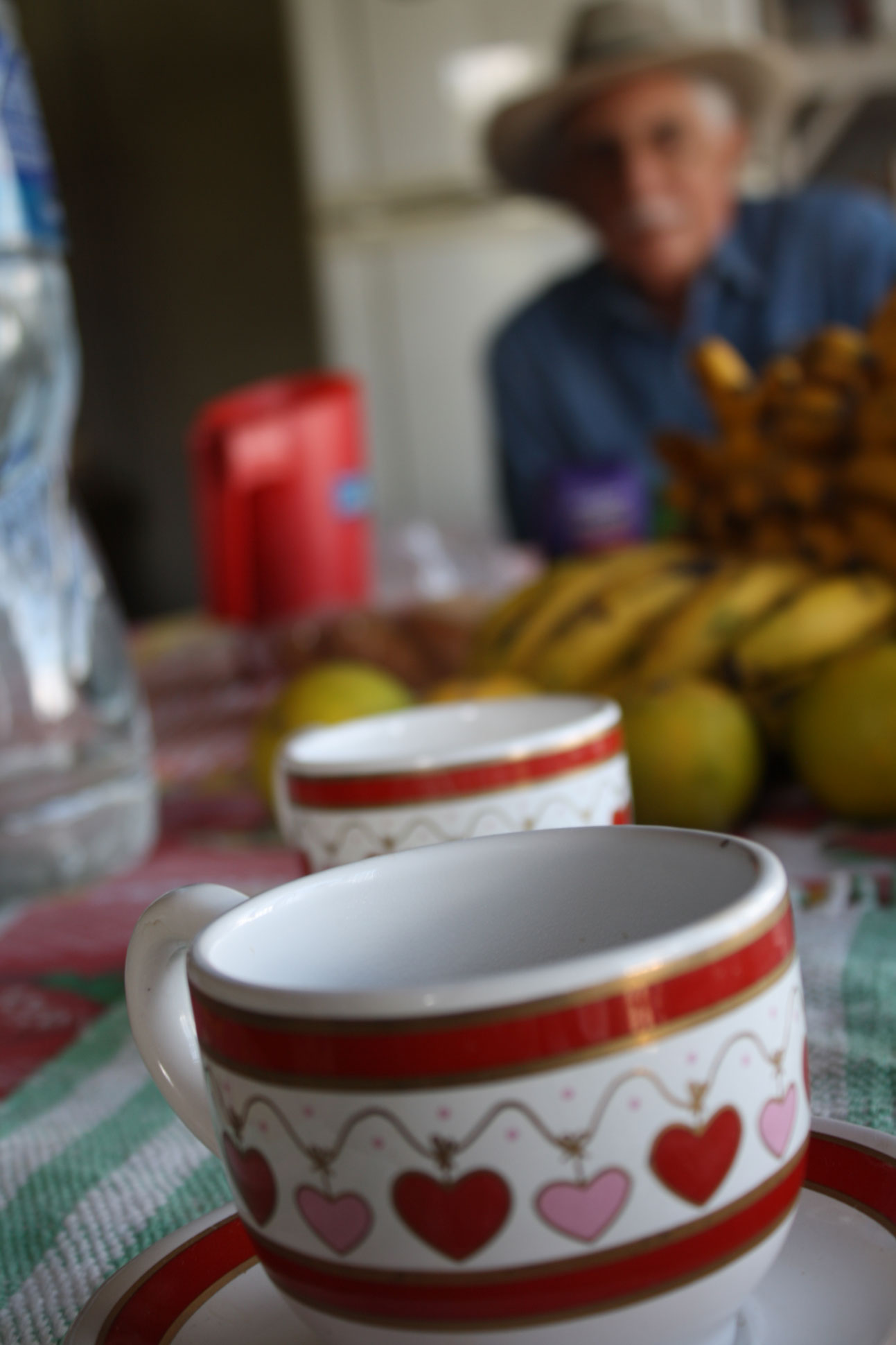 24terre cafe chez arnold 2