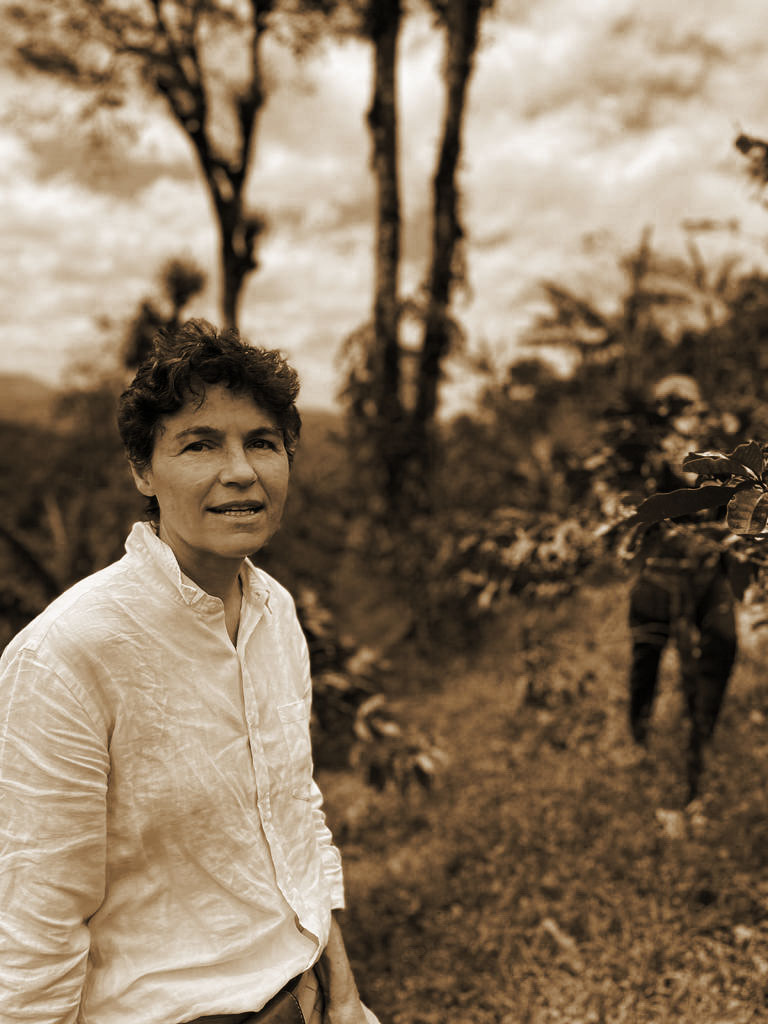 Cv plantation