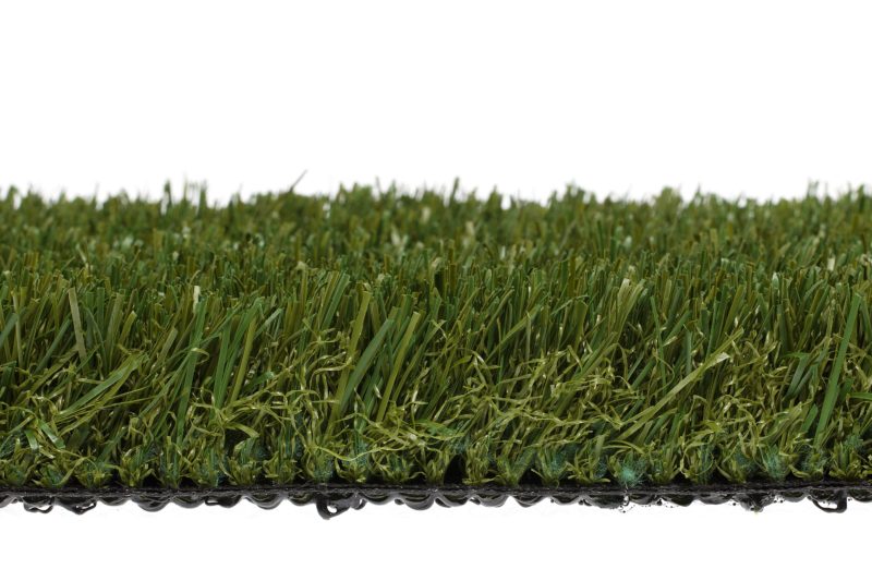 Olive Lush Turf Sample