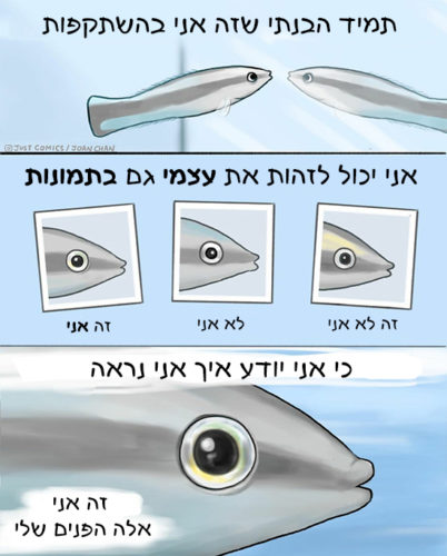 קומיקס (מתורגם) על המחקר החדש של Just comics מאת Joan Chan