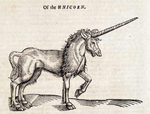 Oftheunicorn חד קרן מיתולוגי