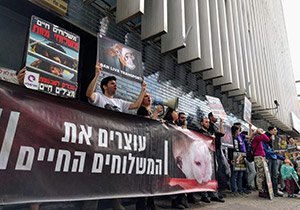 הפגנה נגד המשלוחים החיים מול שגרירות אוסטרליה