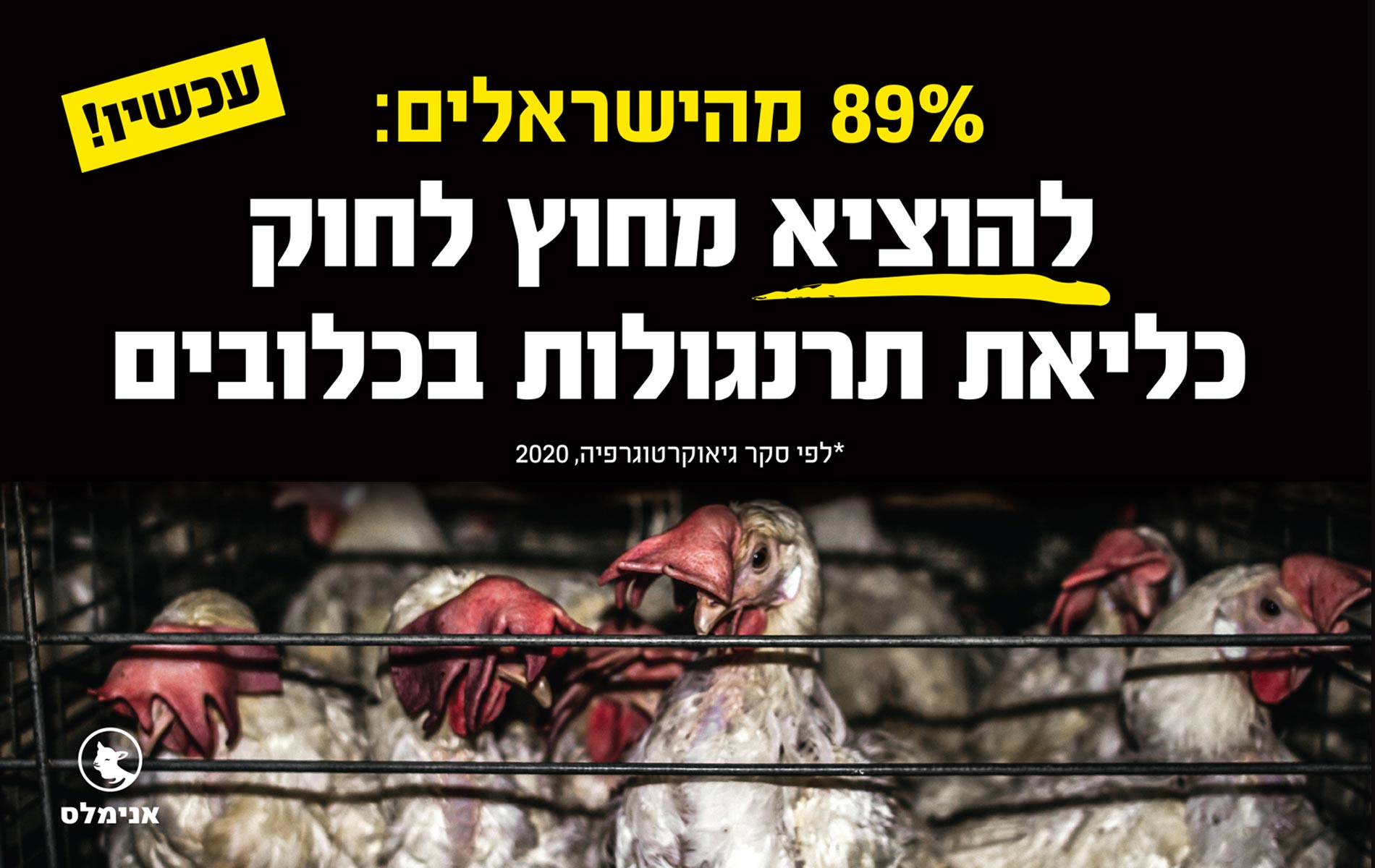 להוציא את לולי הכלובים מחוץ לחוק להוציא את לולי הכלובים מחוץ לחוק