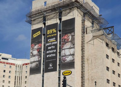 a billboard in Jerusalem that calls to ban chicken cages