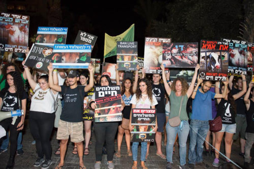 people hold signs protesting live transports