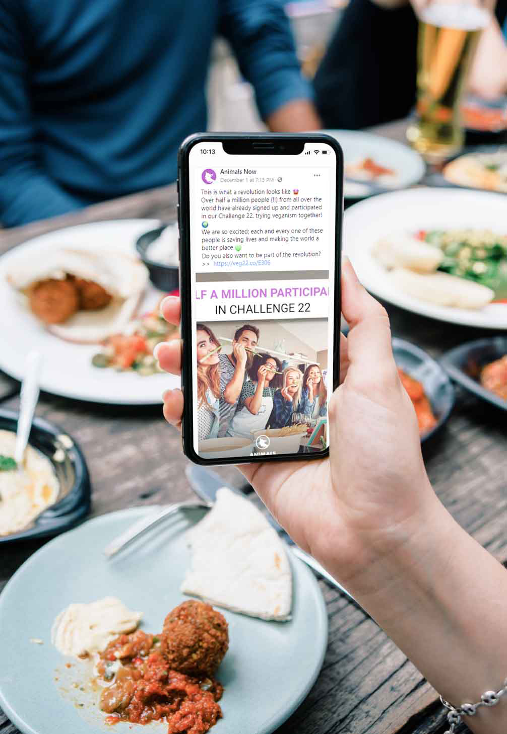 Animals Now's website shown in a phone in someone's hand