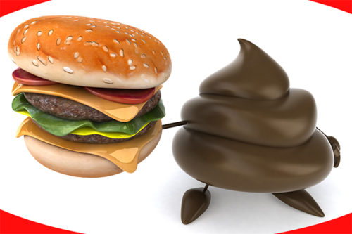 Fun poop האם מפטמים חיות בחרא בישראל?