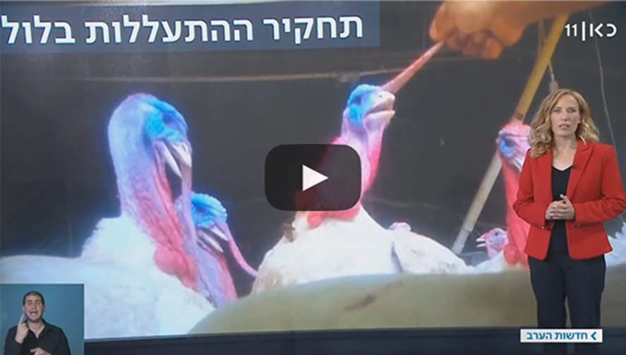 הצד האפל של השווארמה