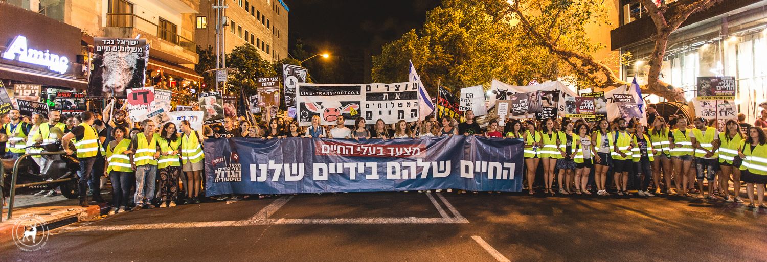 stop-live-transports-rally-in-tel-aviv-2017 Blue banner: “Their lives in our hands”; white banner: “Stop live transport”. Photo: Revital Topiol