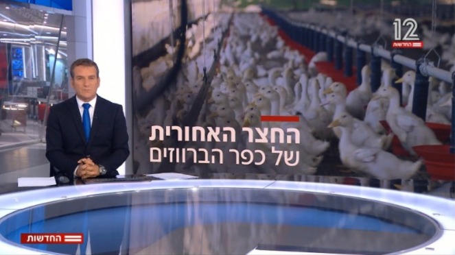 החצר האחורית של כפר הברווזים