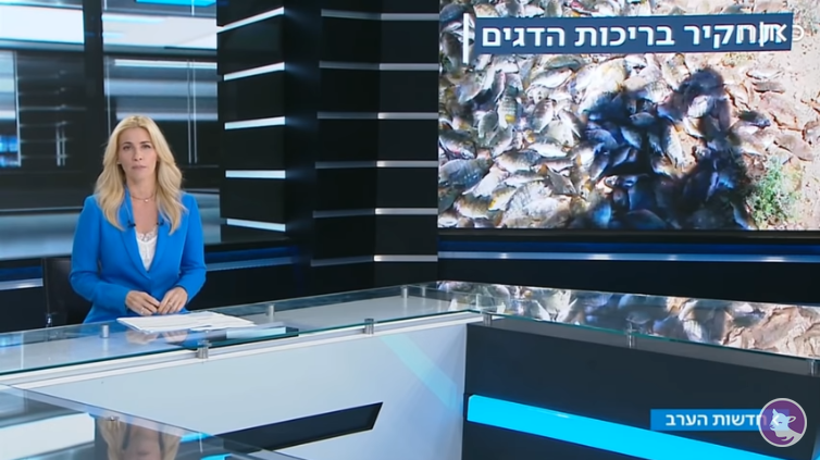 מאבק הדגים