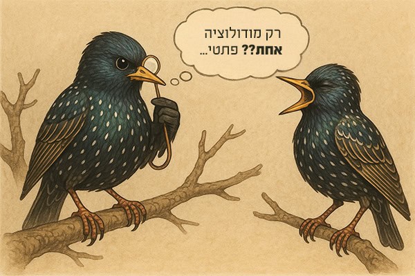 זרזירות לומדות להעדיף שירים מורכבים אילוסטרציה קומית