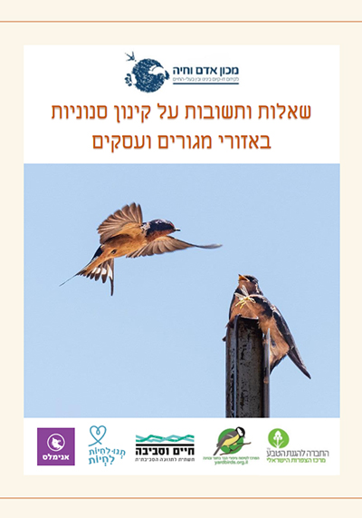 חוברת שאלות ותשובות על קינון סנוניות באזורי מגורים ועסקים