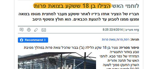 טביעה בחרא של פרות2 טביעה בחרא של פרות2