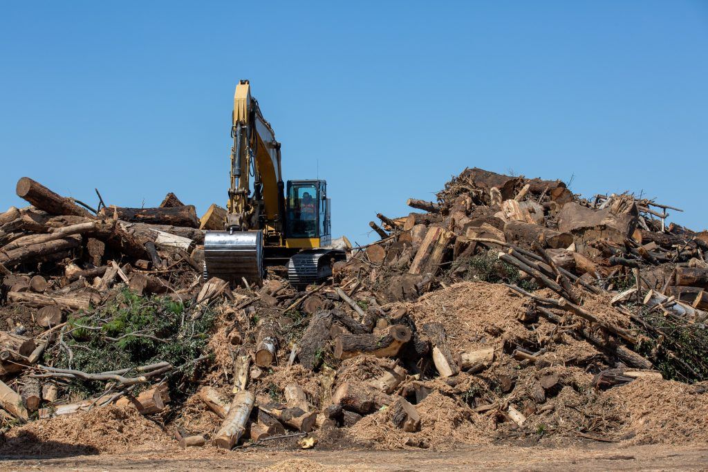 Large scale tree removal by the tree care professionals at Atlas Tree