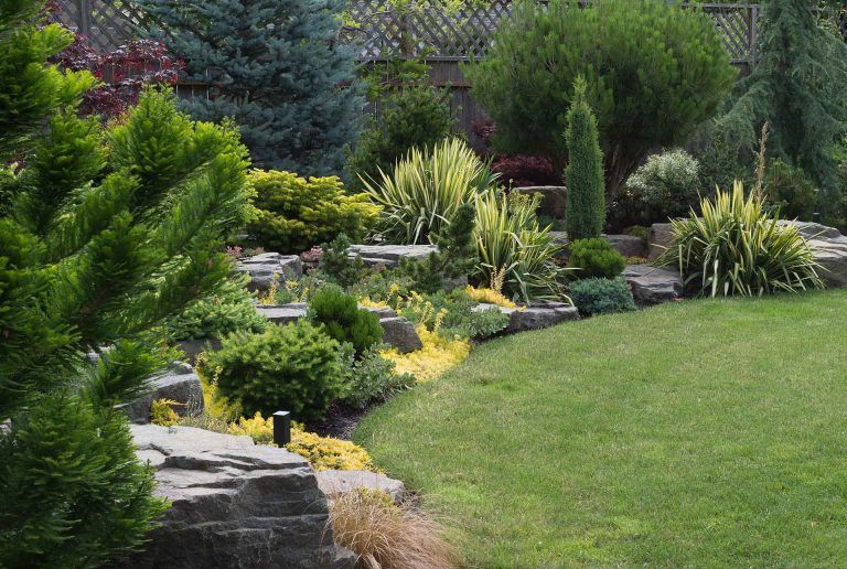 Maintain the health and beauty of your backyard with regular visits from the tree care professionals at Atlas Tree