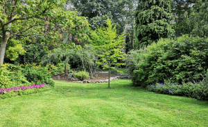 Maintain the health and beauty of your backyard with regular visits from the tree care professionals at Atlas Tree