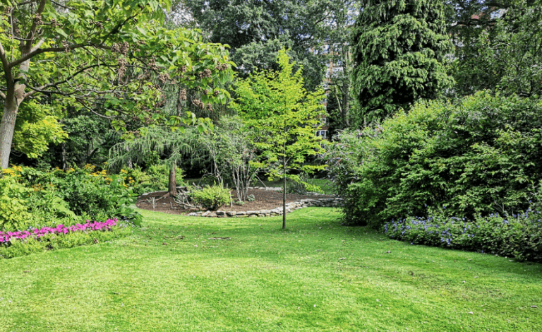Maintain the health and beauty of your backyard with regular visits from the tree care professionals at Atlas Tree