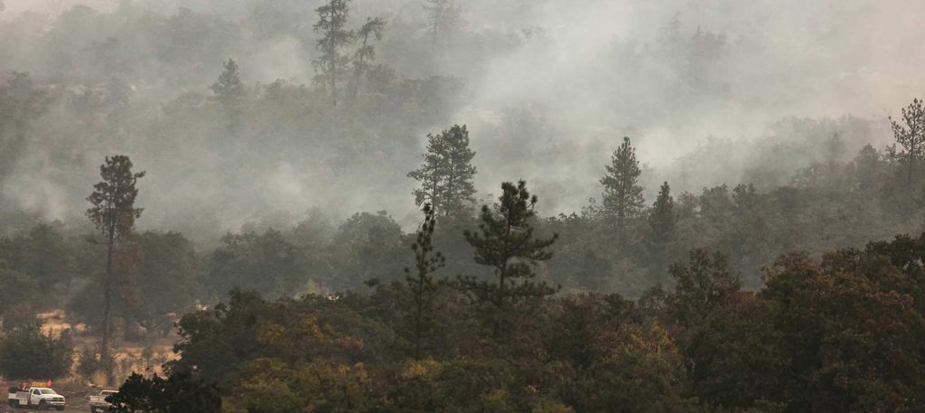 defensible space creation and wildfire recovery