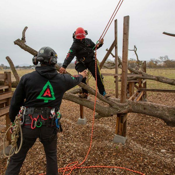 atlas tree care staff attend safety courses at their training facility, academy trained