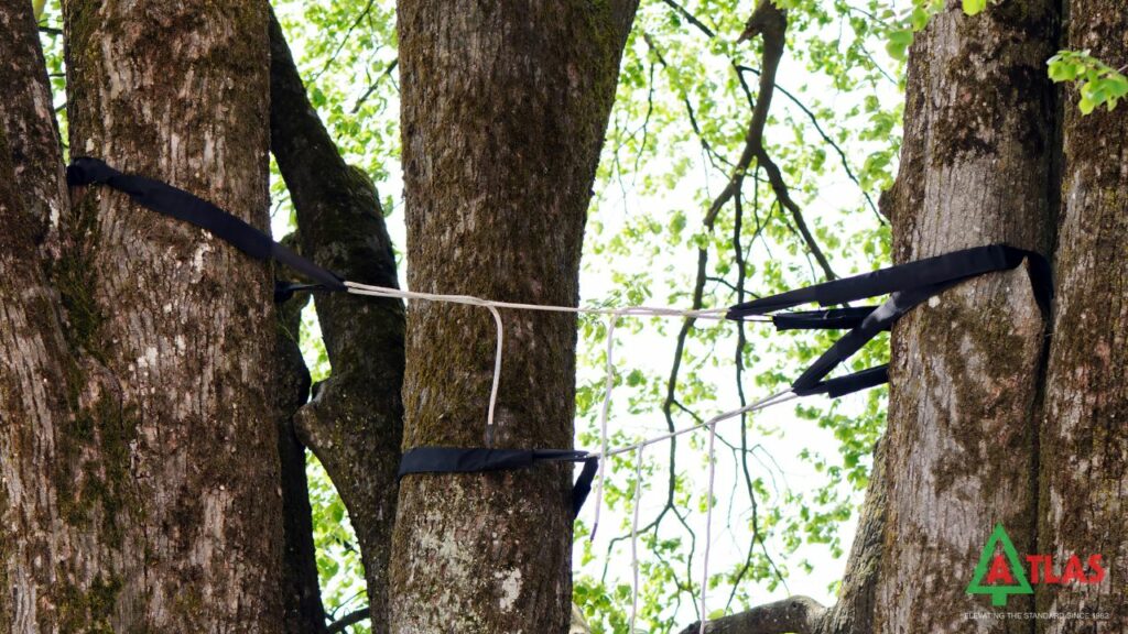 Bracing and Cabling