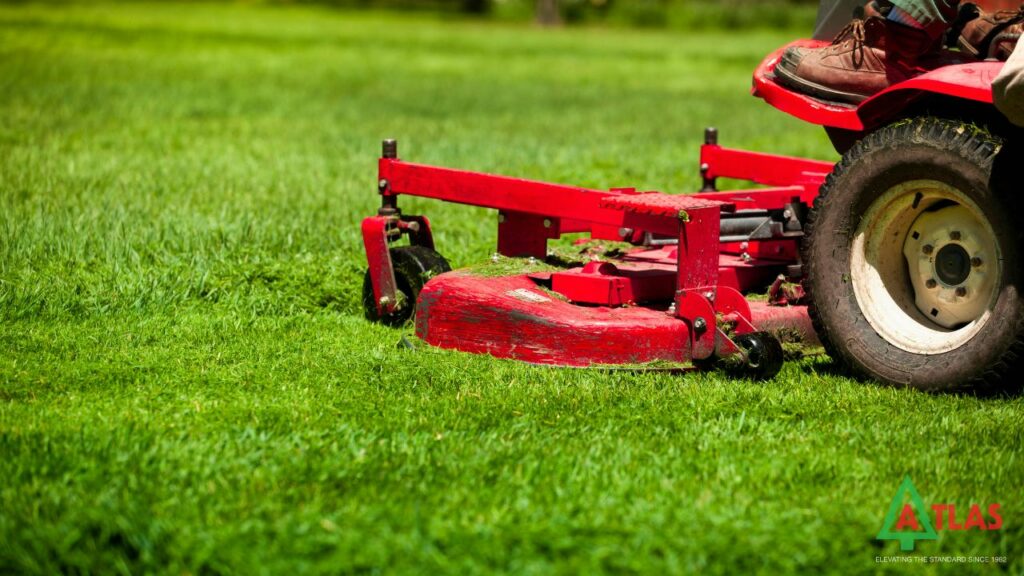 Lawn Indent Repair