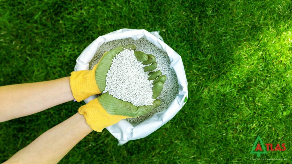 The Deep Root Fertilization