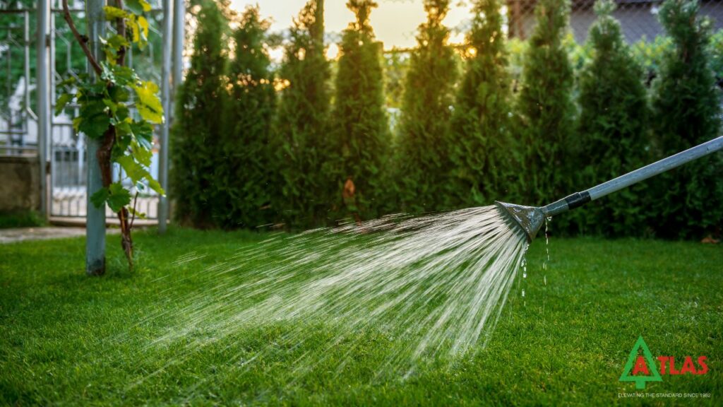 Watering The Soil
