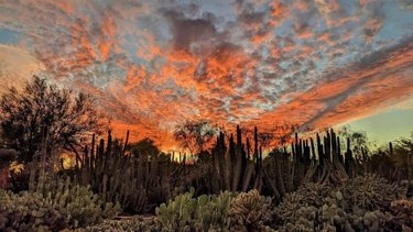 Explore the best things to do in Scottsdale, from hiking iconic Camelback Mountain to indulging in luxurious spa days, discovering art galleries, and enjoying the lively nightlife