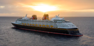 disney wonder