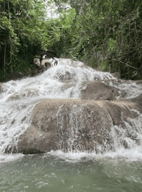 things to do in Jamaica