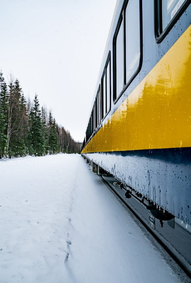 alaska train scenery winter