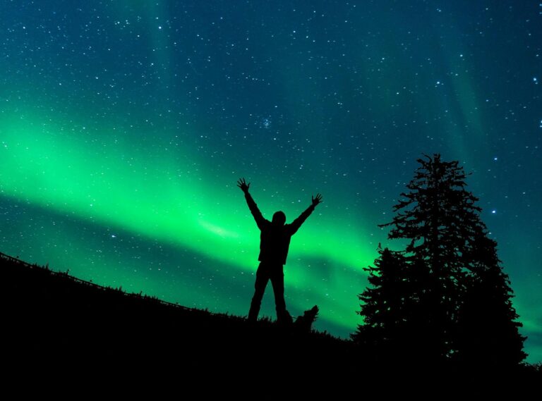 silhouette of man standing on grass under starry night