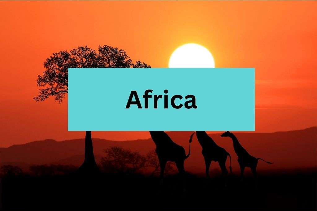 Explore the world with detailed travel guides and itineraries. Discover tips, hidden gems, and must-see attractions for travel destinations like Africa