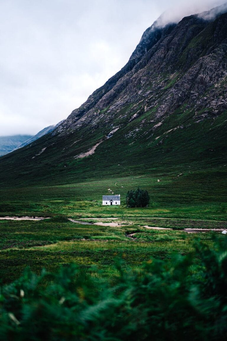 white and gray house on green field