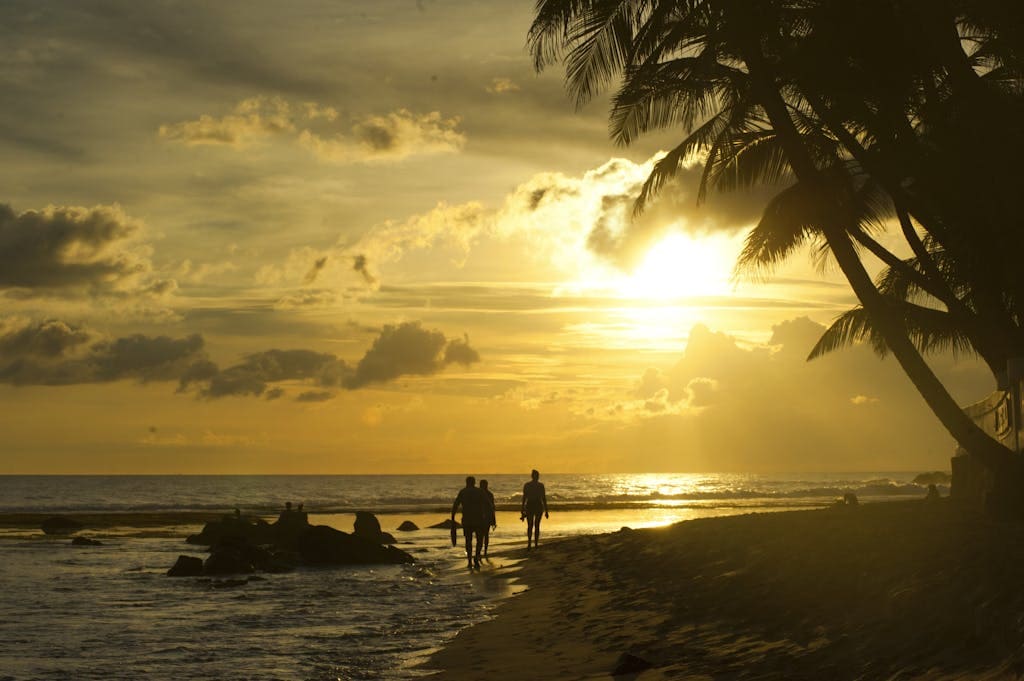 Best Time to Visit the Caribbean