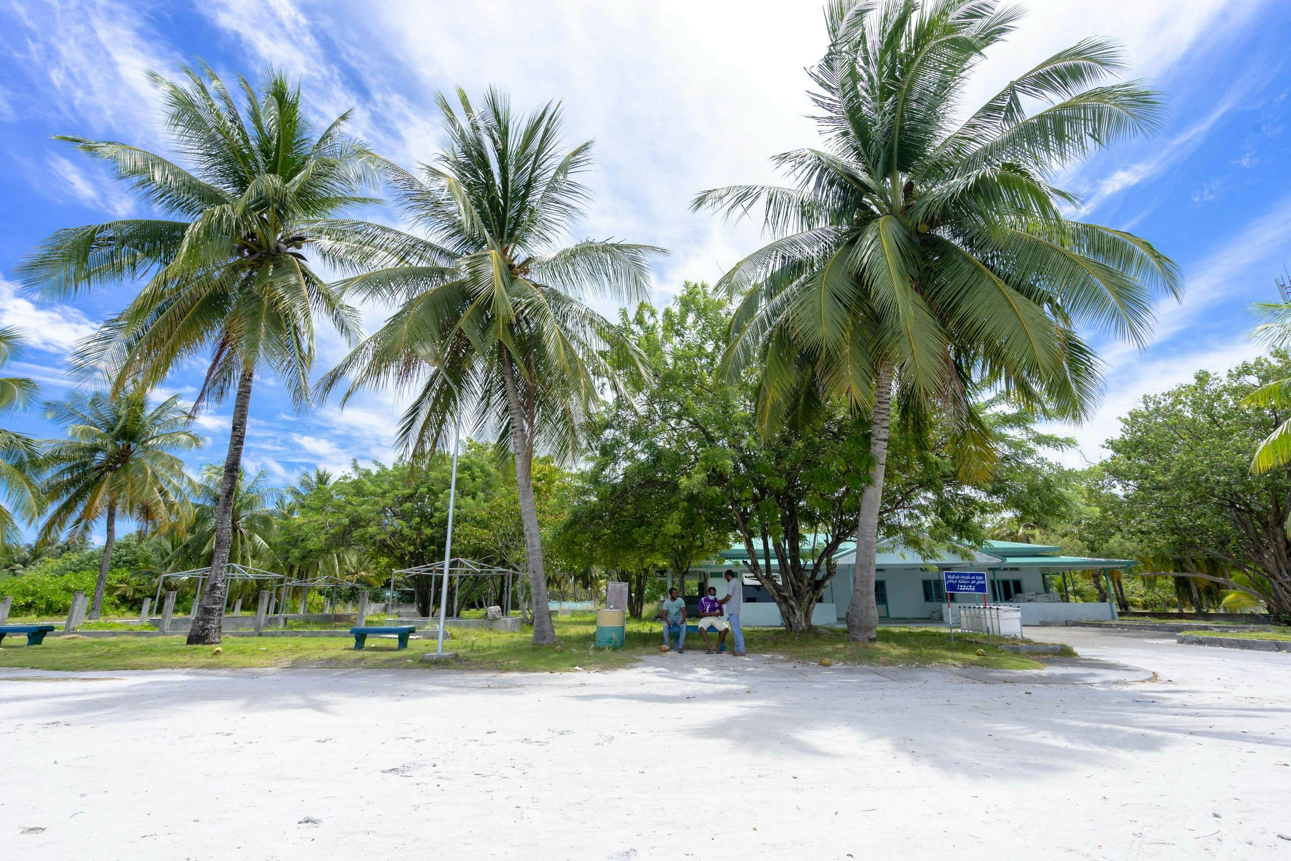 Green Palm Tree Near White and Blue House Under Blue Sky