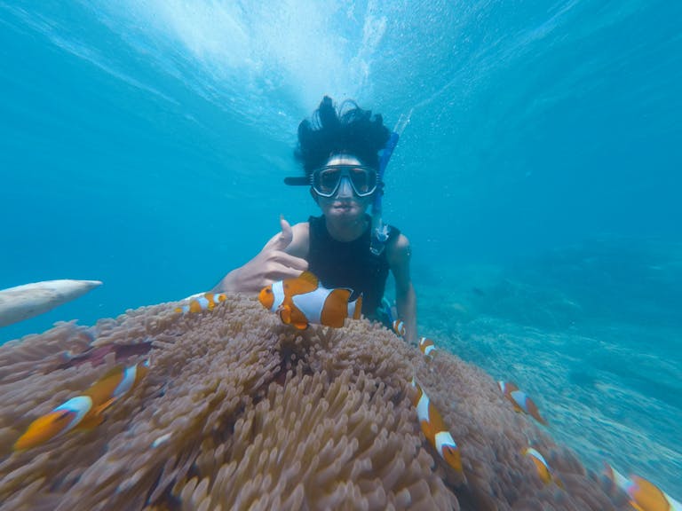 Photo of Person Swimming Near School of Clown Fish